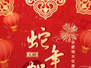 合肥精大儀表2025春節表彰暨聯歡會：回顧精彩，展望