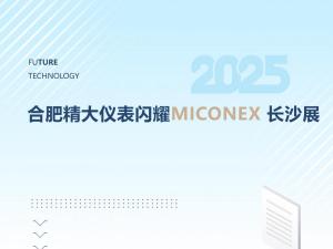 火爆收官！合肥精大儀表閃耀MICONEX長沙展